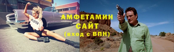 ГАЛЛЮЦИНОГЕННЫЕ ГРИБЫ Ельня