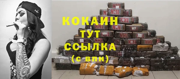 дмт Новокубанск