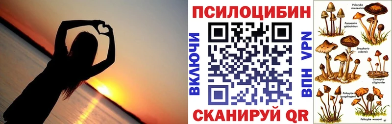 Галлюциногенные грибы Psilocybine cubensis  Мценск 